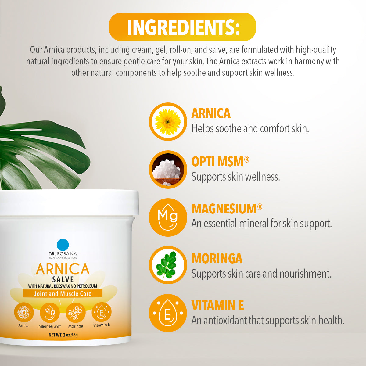 Arnica Salve