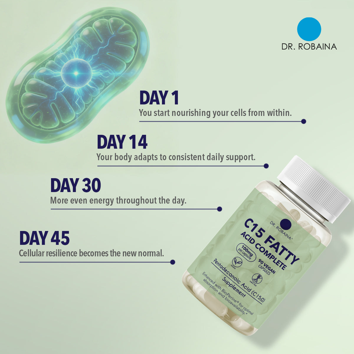 C15 supplement benefits timeline: Day 1 to Day 45 cellular and mitochondrial health support.