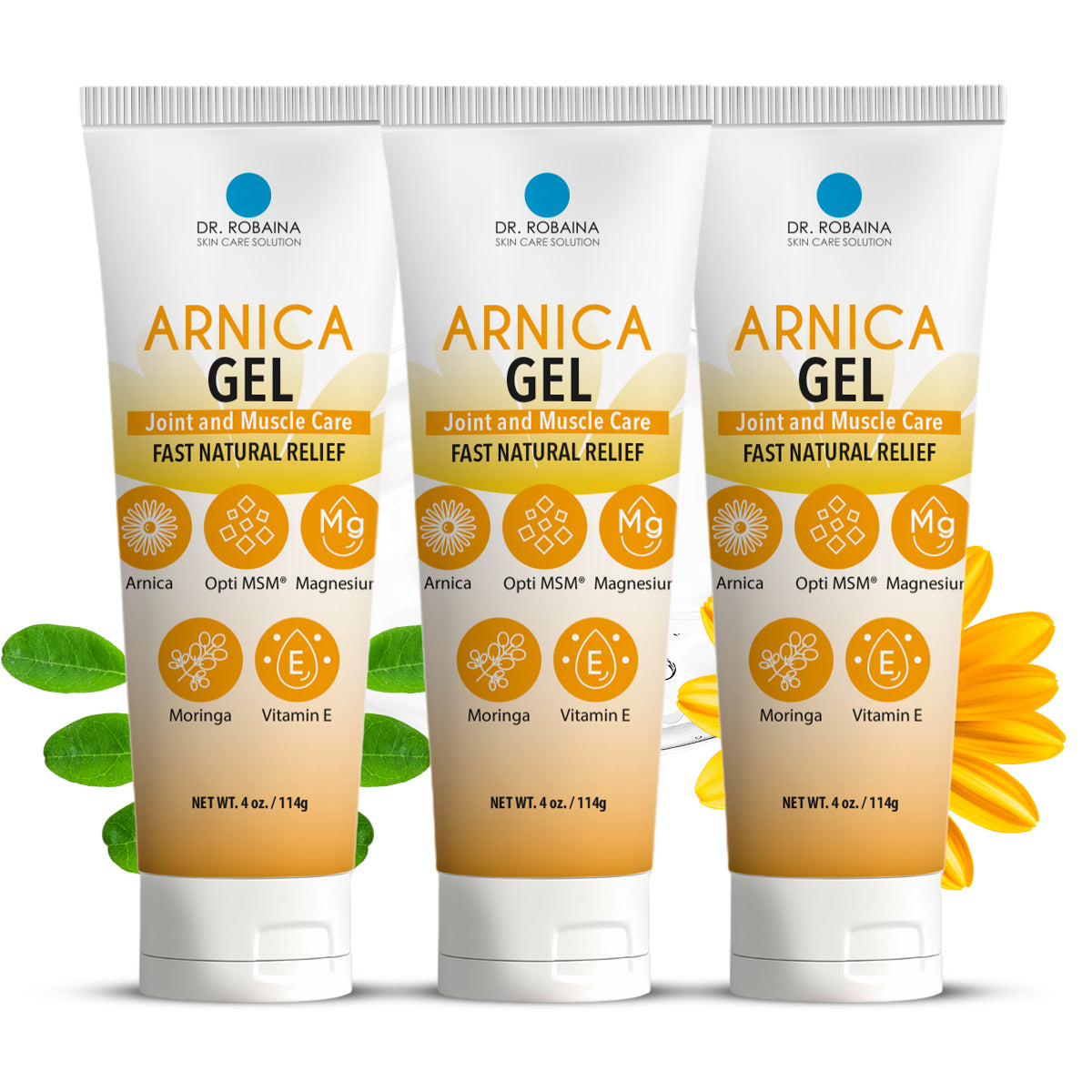 Dr. Robaina Arnica Gel with Natural Ingredients – Soothing Arnica Gel for Bruises, Swelling, Muscle Recovery, Joint Care, and Skin Comfort | 4 oz | Non-Greasy, Fast-Absorbing Formula
